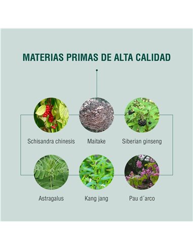 Immuneheal 90Cap. de Adaptoheal