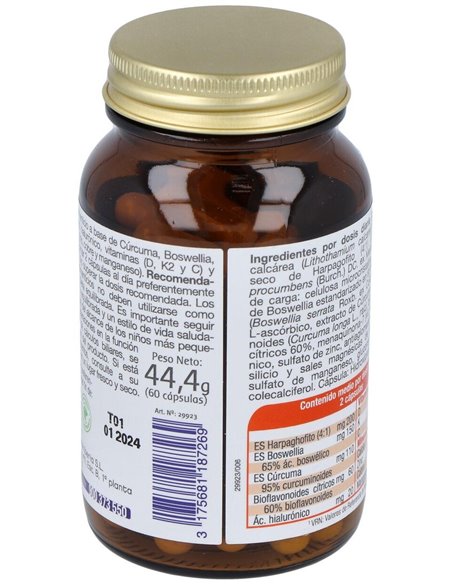 Mega Articular    Envase 60 Cápsulas(30-60 Días) de Dielisa®