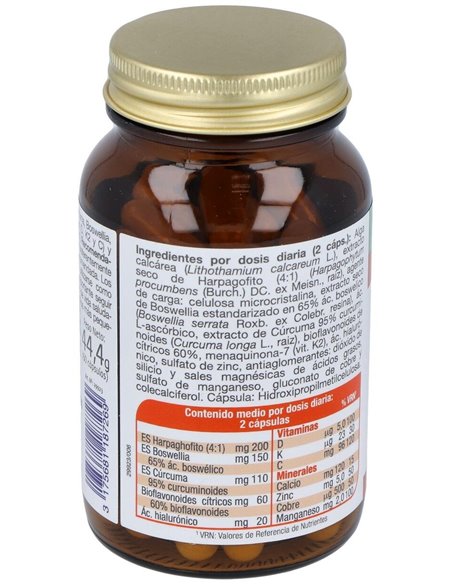 Mega Articular 60Cap. de Dietisa (Dielisa)