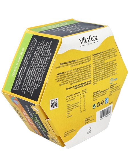 Vitaflor Defensas Echinacea 20Viales de Vitaflor