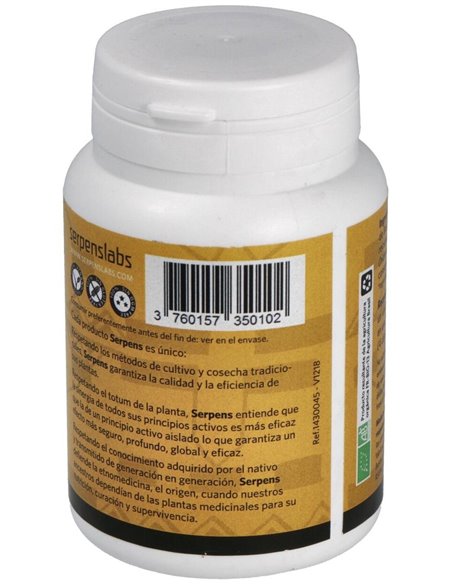 Dieu Soleil 90Cap. de Serpens