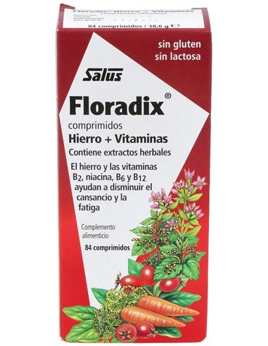 Floradix Hierro 84Comp Salus de Salus