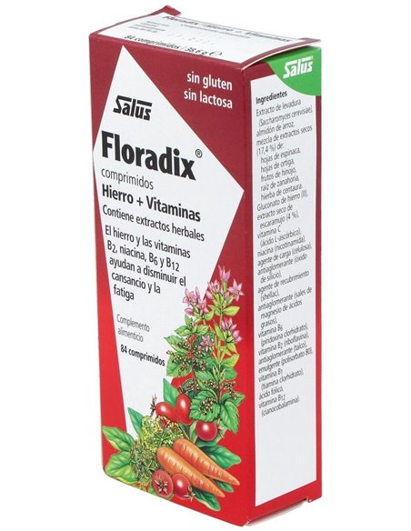 Floradix Hierro 84Comp Salus de Salus