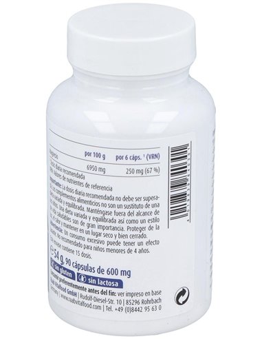 Magnesio citrato, 90 cápsulas de Raab Vitalfood