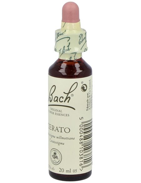 (05) Cerato  de Bach