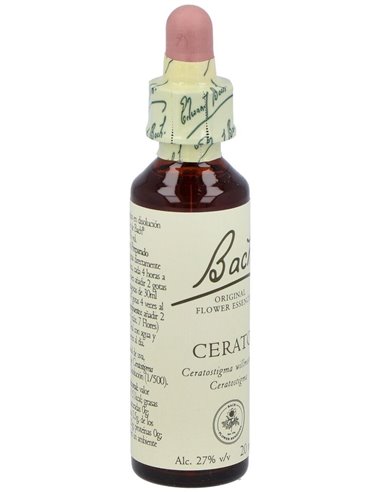 (05) Cerato  de Bach