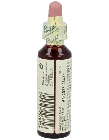 (05) Cerato  de Bach