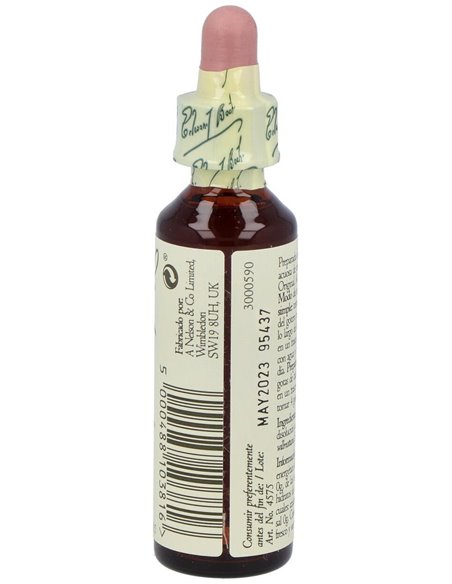 (05) Cerato  de Bach