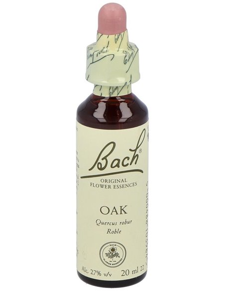 (22) Oak  de Bach