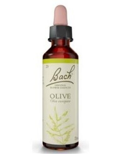 (23) Olive  de Bach