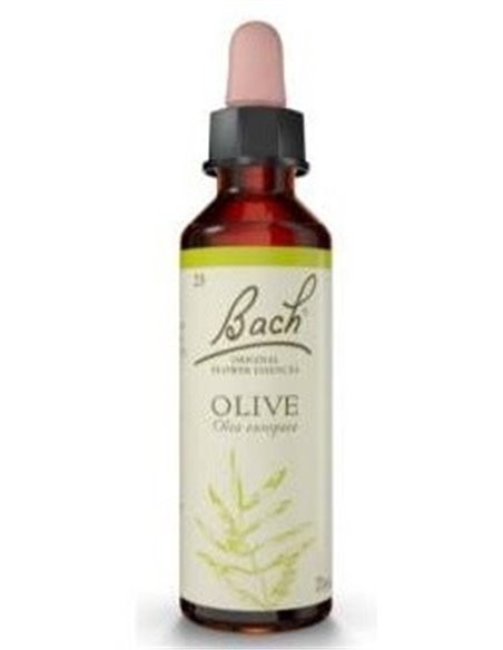 (23) Olive  de Bach