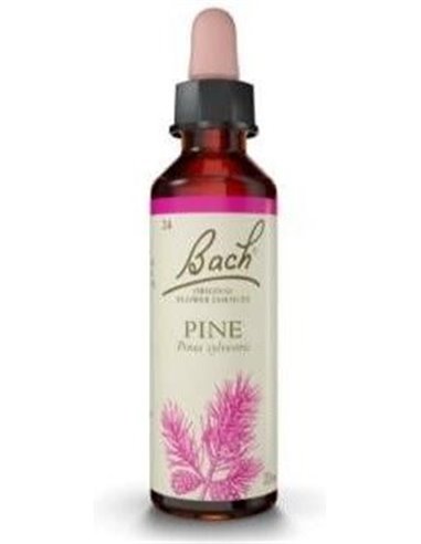 Flores Bach Pine Pino Silvestre 20Ml. de Flores Bach Origina