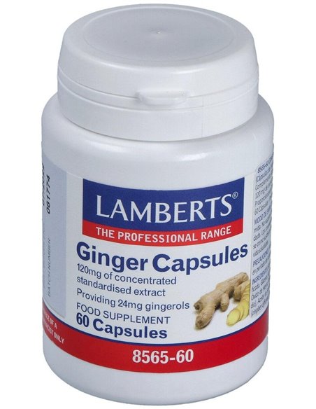 Jengibre 14.400 mg (24 mg de gingeroles) de Lamberts