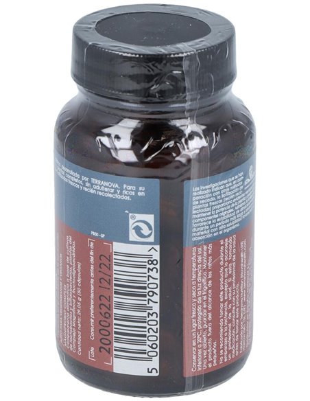 Magniprobio Complex Con Fructo-Oligosacáridos 50 Vcáps de Terranova