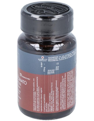 Hierro Bisglicinato 20 Mg Complex 50 Vcáps de Terranova