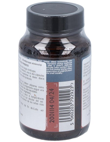 Cordiceps 500Mg. 50Vcap. de Terranova