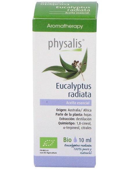 Esencia Eucalipto Radiata 10Ml. Bio de Physalis
