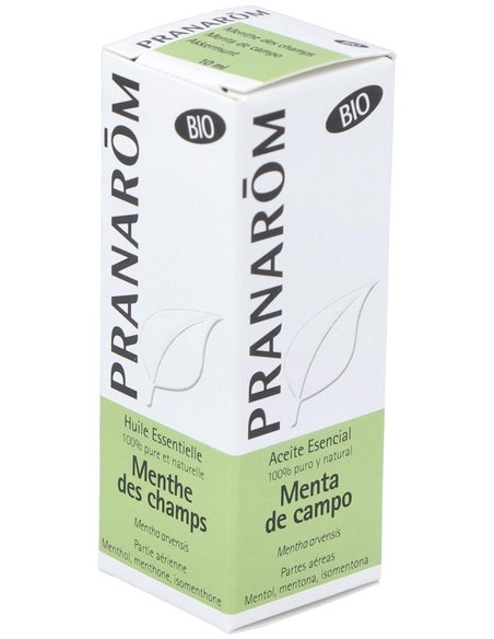 Menta De Campo Partes Aereas Bio 10 Ml de Pranarom