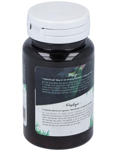 Ferment Daily 60Cap. de Probioticos San