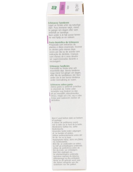 Dentaforce Echinacea Pasta Dental Gr 100 de A.Vogel