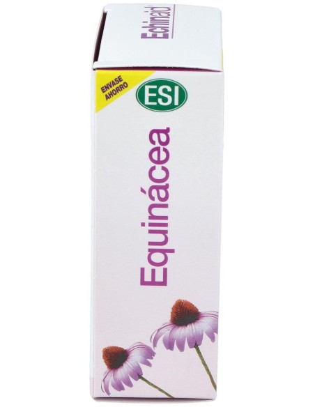 Echinaid 60Cap. de Trepatdiet-Esi