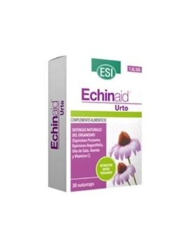 Echinaid Urto 30Cap. de Trepatdiet-Esi