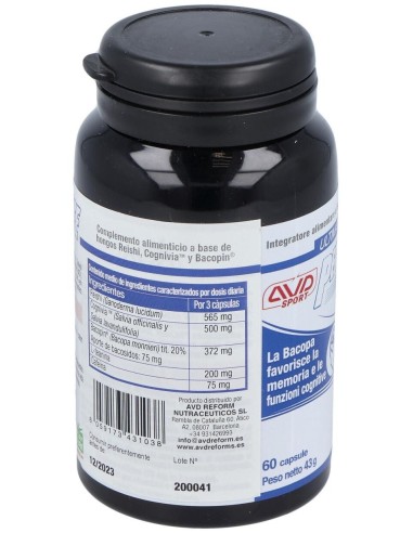 Performance Brain 60Cap. de Avd Reform