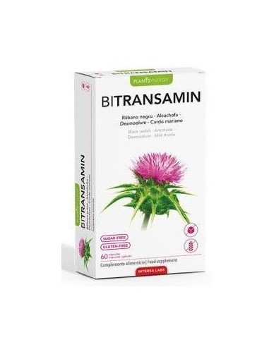 Bitransamin 60Cap. de Intersa