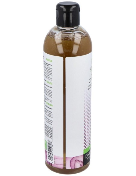 Champu Cebolla + Vinagre De Manzana 400Ml. de Armonia