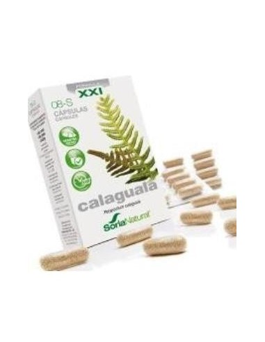 Cap.S 08 Calaguala Xxi 30Cap. de Soria Natural
