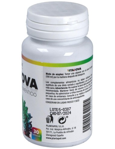 Vitanova 30Cap. de Plantapol