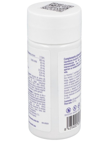 Excelvit Sport Recovery 60Cap. de Excelvit