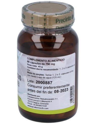 Agaricus Blazei 60Cap. de Cfn