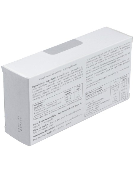 Pg Regenhial 60Cap. de Lavigor