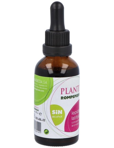 Ext Lepidium S/Alc Plantis de Artesania