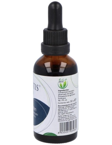 Ext Llanten Eco S/Alc Plantis de Artesania