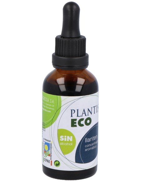 Ext Llanten Eco S/Alc Plantis de Artesania