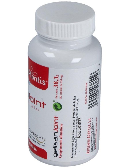 Gelisan Joint 60 Cap. de Artesania