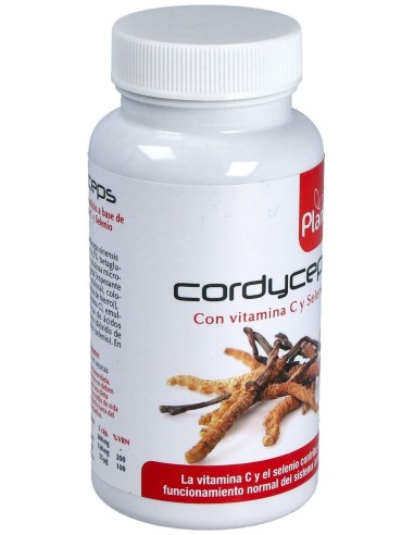 Cordyceps Plantis 60 Cap de Artesania