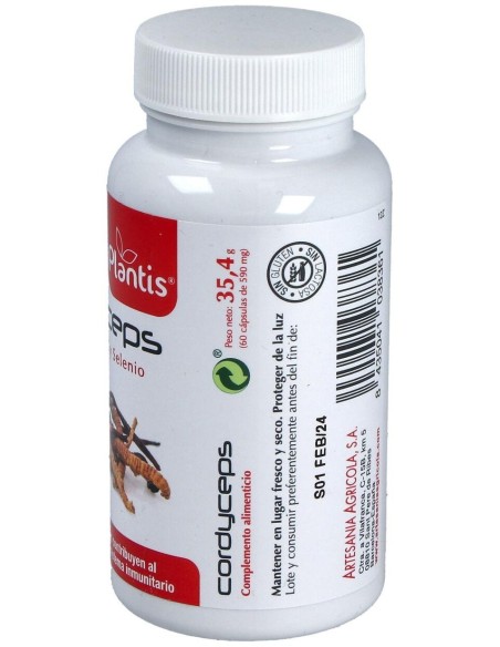 Cordyceps Plantis 60 Cap de Artesania