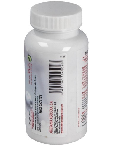 Tripfan Plantis 60 Cap. de Artesania
