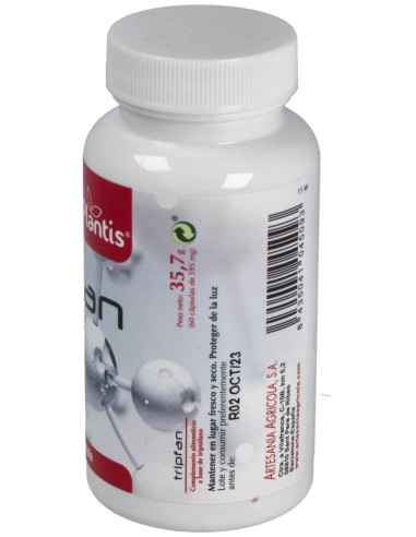 Tripfan Plantis 60 Cap. de Artesania