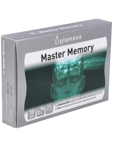 Master Memory 30Cap. de Plameca