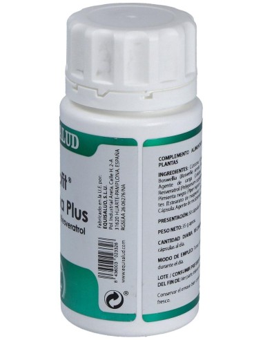 Holofit Curcuma Plus 50Cap. de Equisalud