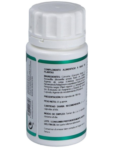 Holofit Curcuma Plus 50Cap. de Equisalud