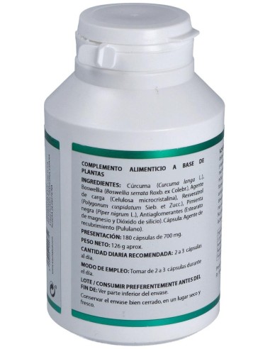 Holofit Curcuma Plus 180Cap. de Equisalud