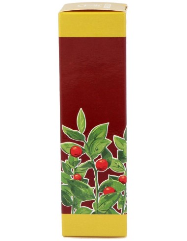 Cerato Ruscus 50Gr. de Equisalud