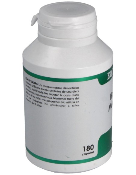 Holofit Moringa 180Cap. de Equisalud