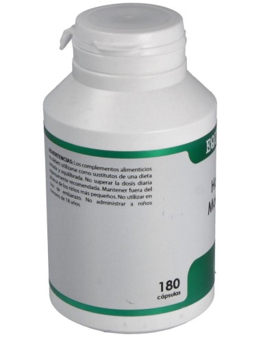 Holofit Moringa 180Cap. de Equisalud