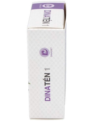 Dinaten 1 60Cap. de Dinadiet